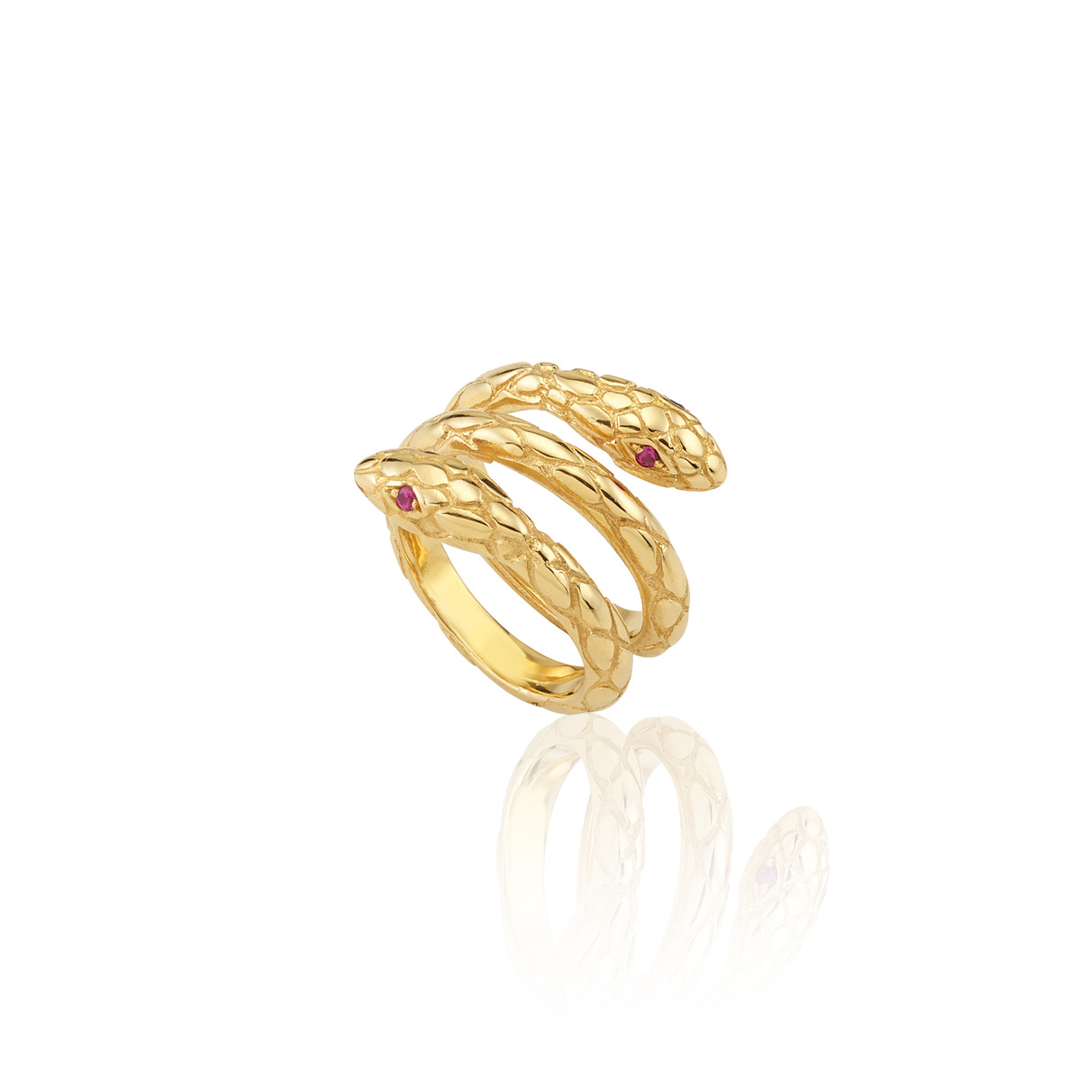 Protection Ring